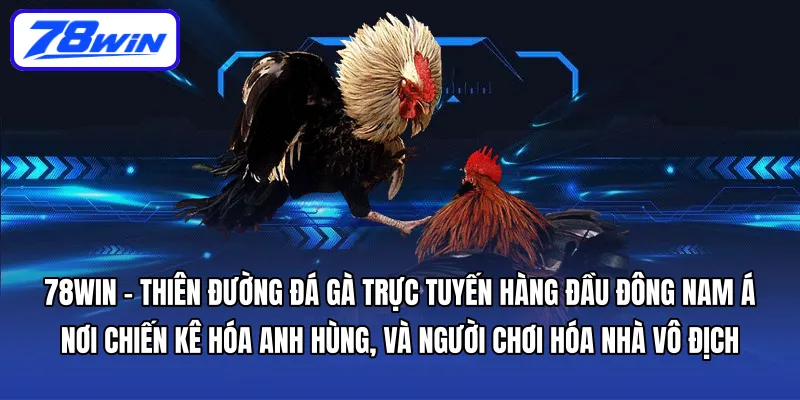 Đá Gà 78WIN – Đấu Trường Kê Chiến Trực Tuyến Đỉnh Cao 2025