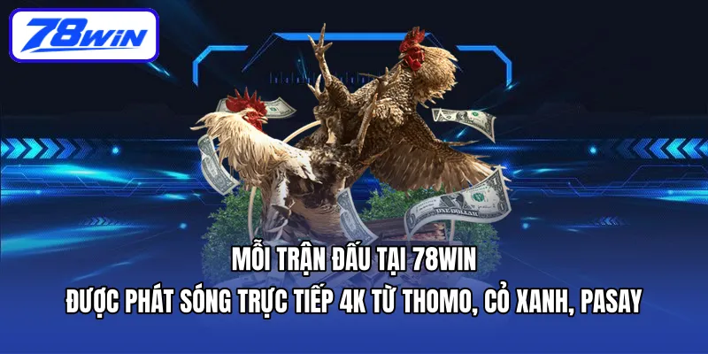 Mỗi trận đấu tại 78WIN được phát sóng trực tiếp 4K từ Thomo, Cỏ Xanh, Pasay